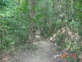 DSC04711.JPG