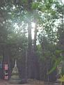 DSC04715.JPG