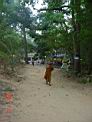 DSC04717.JPG