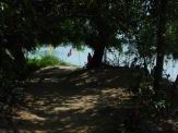 DSC04796.JPG