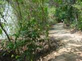 DSC04797.JPG