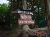 Resize of DSC04709.JPG