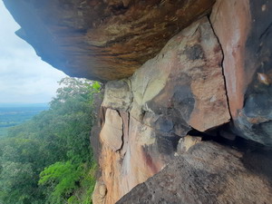 ผาแดง นาหมี นายูง